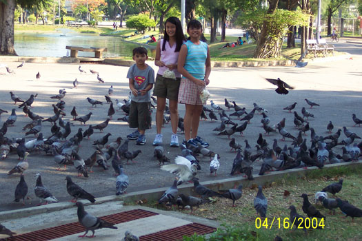 Feeding birds
