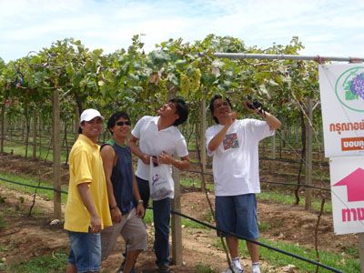 DSC00077~0.JPG